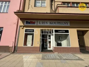 Pronájem obchodního prostoru, Hodonín, Národní třída, 401 m2