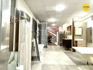 Pronájem obchodního prostoru, Hodonín, Národní třída, 401 m2