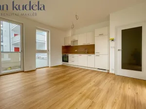 Pronájem bytu 1+kk, Brno, Minská, 30 m2