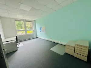 Pronájem výrobních prostor, Chodová Planá, Kyjovská, 2497 m2