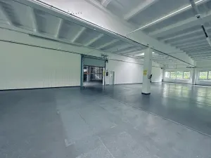 Pronájem výrobních prostor, Chodová Planá, Kyjovská, 2497 m2