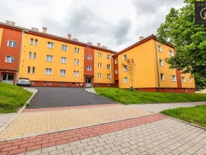 Prodej bytu 3+1, Ostrov, Borecká, 72 m2