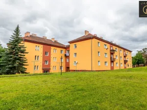 Prodej bytu 3+1, Ostrov, Borecká, 72 m2