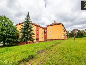 Prodej bytu 3+1, Ostrov, Borecká, 72 m2