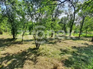 Prodej rodinného domu, Tečovice, 300 m2