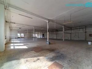 Pronájem skladu, Mariánské Lázně, třída Vítězství, 125 m2