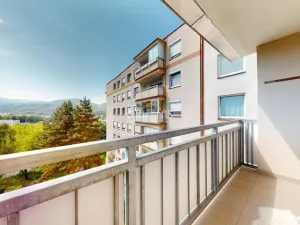 Prodej bytu 3+1, Ústí nad Labem - Krásné Březno, Dr. Horákové, 71 m2