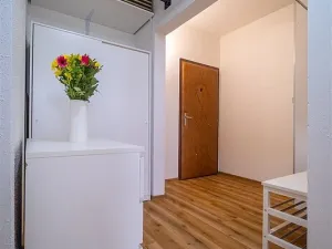 Prodej bytu 2+kk, České Budějovice - České Budějovice 2, Otavská, 46 m2