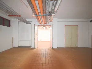Pronájem skladu, Plzeň - Lobzy, Sousedská, 300 m2