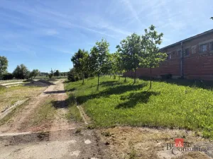 Pronájem skladu, Měník, 5000 m2