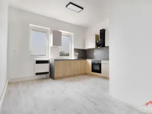 Prodej bytu 2+kk, Děčín - Děčín VI-Letná, Novoměstská, 41 m2