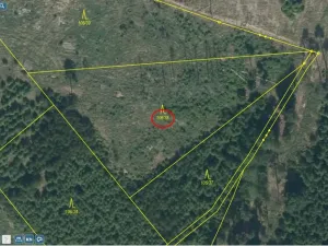 Prodej lesa, Tehov - Nemíž, 3892 m2
