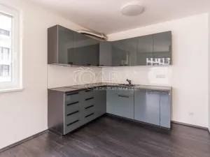 Pronájem bytu 3+kk, Praha - Žižkov, Olgy Havlové, 72 m2