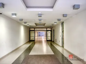 Pronájem bytu 2+kk, Praha - Holešovice, Na Maninách, 60 m2