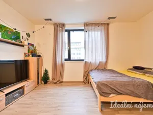 Pronájem bytu 1+kk, Brno - Židenice, Gajdošova, 34 m2