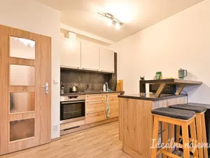Pronájem bytu 1+kk, Brno - Židenice, Gajdošova, 34 m2