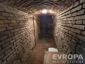 Prodej rodinného domu, Havlíčkův Brod, Nad Tratí, 368 m2