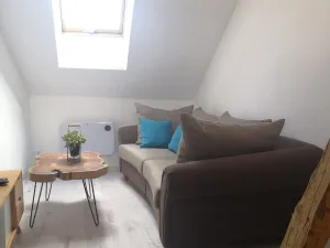 Pronájem bytu 1+kk, České Budějovice, K. Vinařického, 33 m2