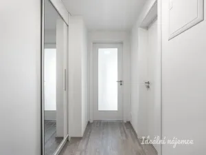 Pronájem bytu 1+kk, Praha - Hloubětín, Domalípova, 32 m2