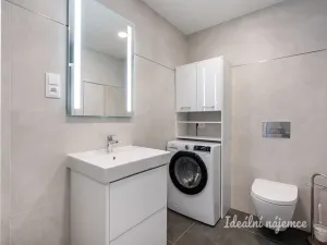 Pronájem bytu 1+kk, Praha - Hloubětín, Domalípova, 32 m2