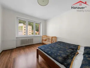 Prodej bytu 3+1, Děčín - Děčín II-Nové Město, Kamenická, 65 m2