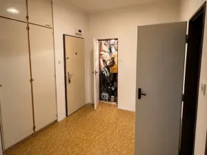 Prodej bytu 3+1, Plzeň - Východní Předměstí, Guldenerova, 88 m2