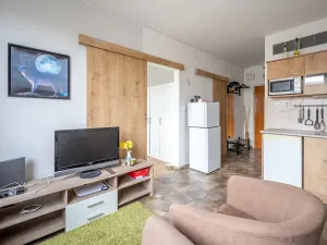 Pronájem bytu 1+1, Brno, Žitná, 34 m2