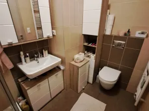 Pronájem bytu 1+kk, Olomouc - Řepčín, Aloise Rašína, 30 m2