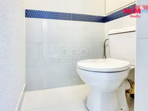 Prodej bytu 1+kk, Plzeň - Severní Předměstí, Brněnská, 31 m2