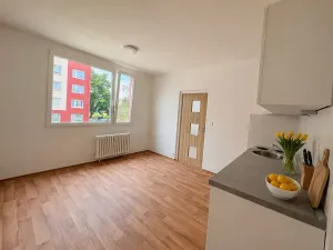 Pronájem bytu 1+1, Litvínov, Školní, 35 m2
