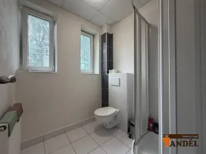 Pronájem kanceláře, Horní Suchá, Zelená, 10 m2