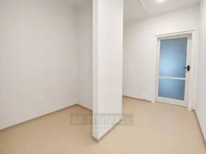 Pronájem bytu 3+1, České Budějovice - České Budějovice 7, Lidická tř., 63 m2