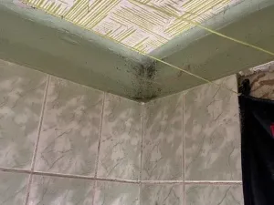 Dražba rodinného domu, Studénka, Družstevní, 88 m2