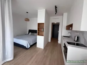 Pronájem bytu 1+kk, Praha - Smíchov, U Lihovaru, 31 m2