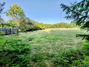 Prodej chalupy, Golčův Jeníkov, 110 m2