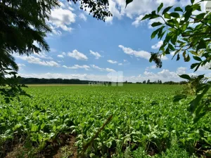 Prodej rodinného domu, Dobrá Voda u Hořic, 2572 m2