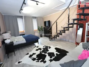 Prodej bytu 2+1, Karlovy Vary, Vítězná, 110 m2