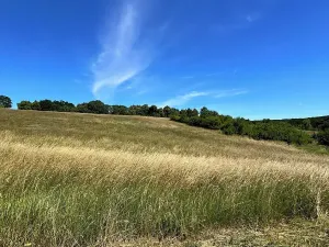 Prodej pozemku pro bydlení, Nesovice, 4059 m2