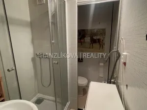 Pronájem bytu 1+1, České Budějovice - České Budějovice 2, J. Opletala, 35 m2