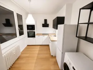 Pronájem bytu 2+1, Ústí nad Labem - Ústí nad Labem-centrum, Hornická, 53 m2