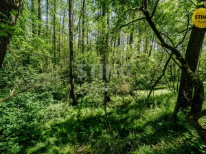 Prodej pozemku, Orlová - Lutyně, 2329 m2