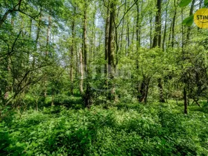 Prodej pozemku, Orlová - Lutyně, 2329 m2