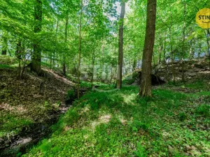 Prodej lesa, Orlová - Lutyně, 1028 m2