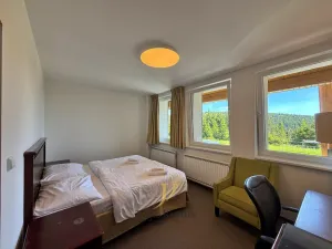 Prodej bytu 1+kk, Loučná nad Desnou - Rejhotice, 26 m2