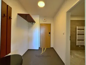 Prodej bytu 1+kk, Loučná nad Desnou - Rejhotice, 26 m2