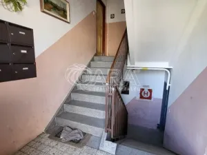 Pronájem bytu 2+1, Dobřany, Stromořadí, 64 m2