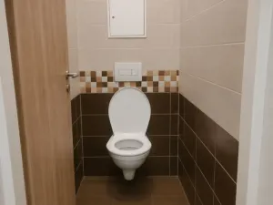 Pronájem bytu 1+kk, Ostrava - Přívoz, Křišťanova, 43 m2