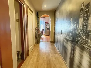 Pronájem bytu 3+1, Plzeň, Klatovská třída, 123 m2