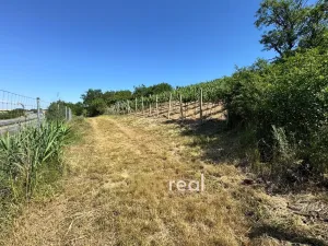 Prodej zahrady, Hustopeče, 530 m2