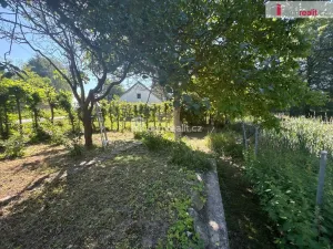 Prodej rodinného domu, Bor - Ostrov, 390 m2